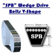 SPB Belts