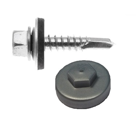 TEK SCREW CW PLASTIC CAP PACK 100